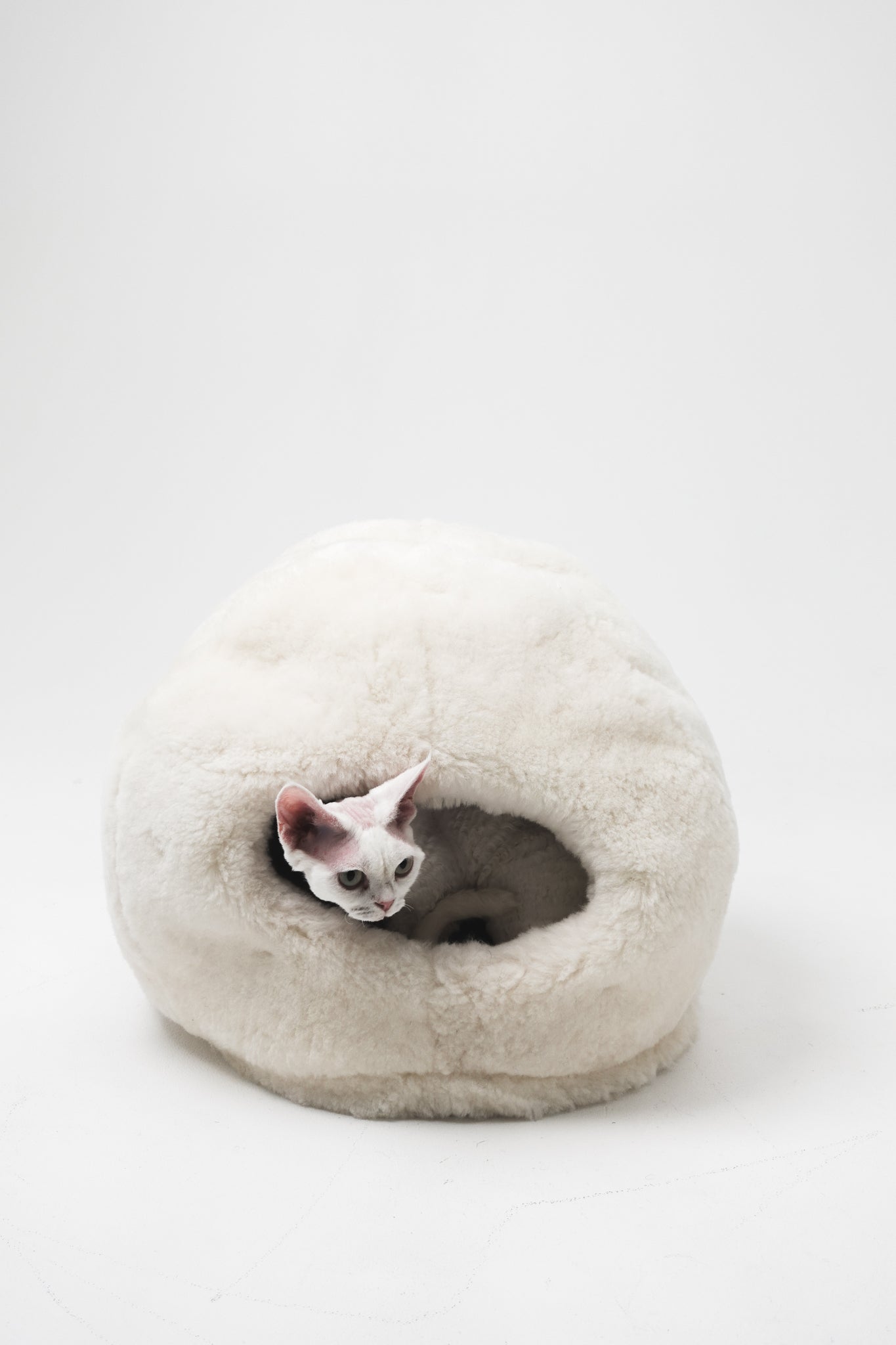 Nest Natural Sheepskin Pet Bed - White-3