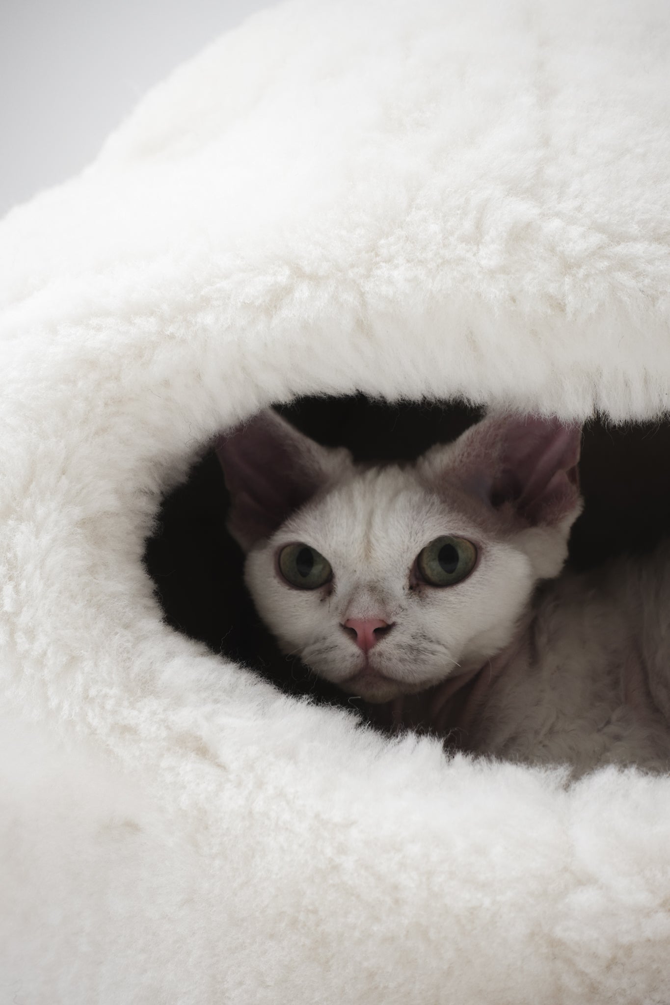 Nest Natural Sheepskin Pet Bed - White-1