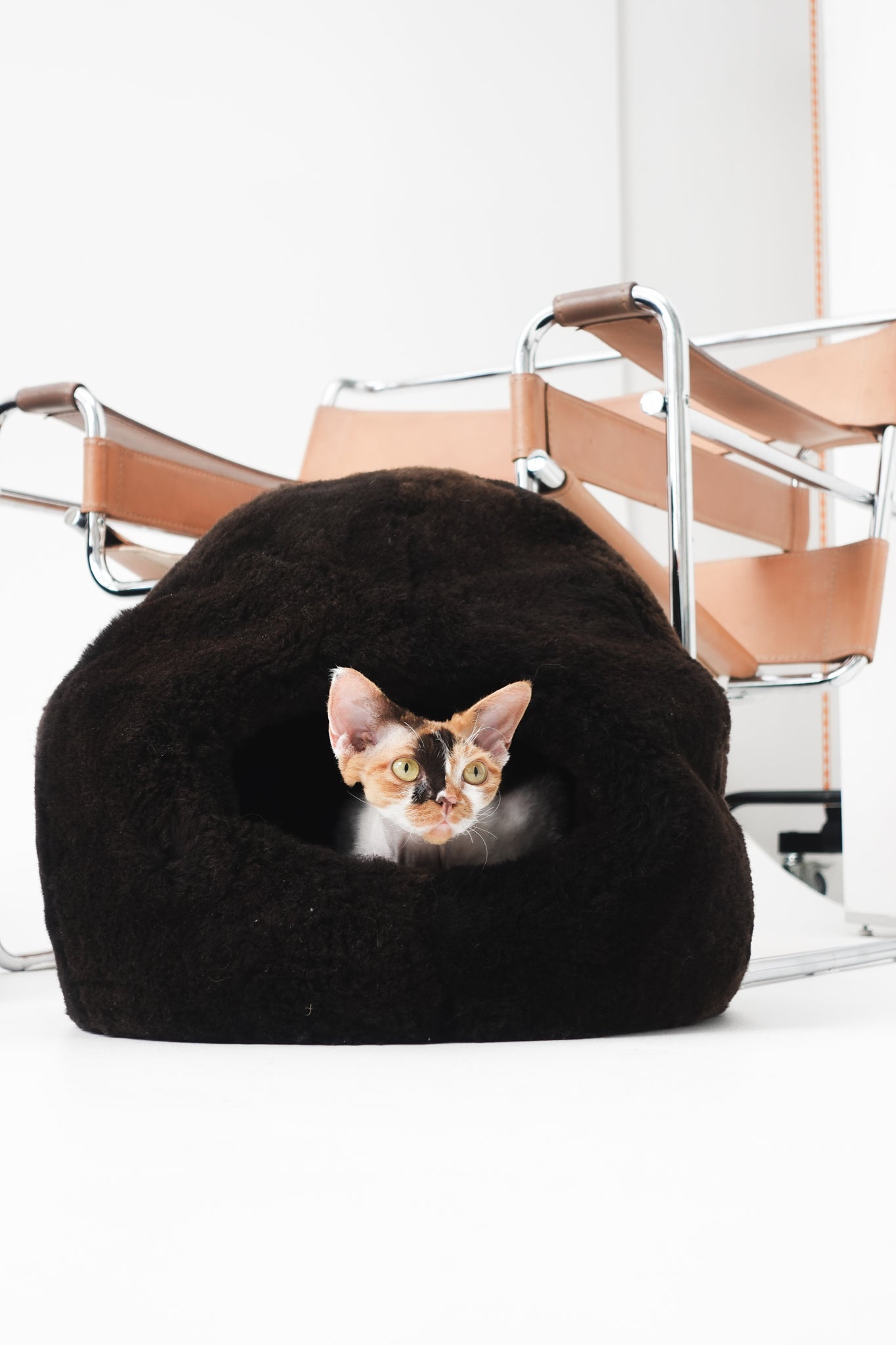 Nest Natural Sheepskin Pet Bed - Brown-4