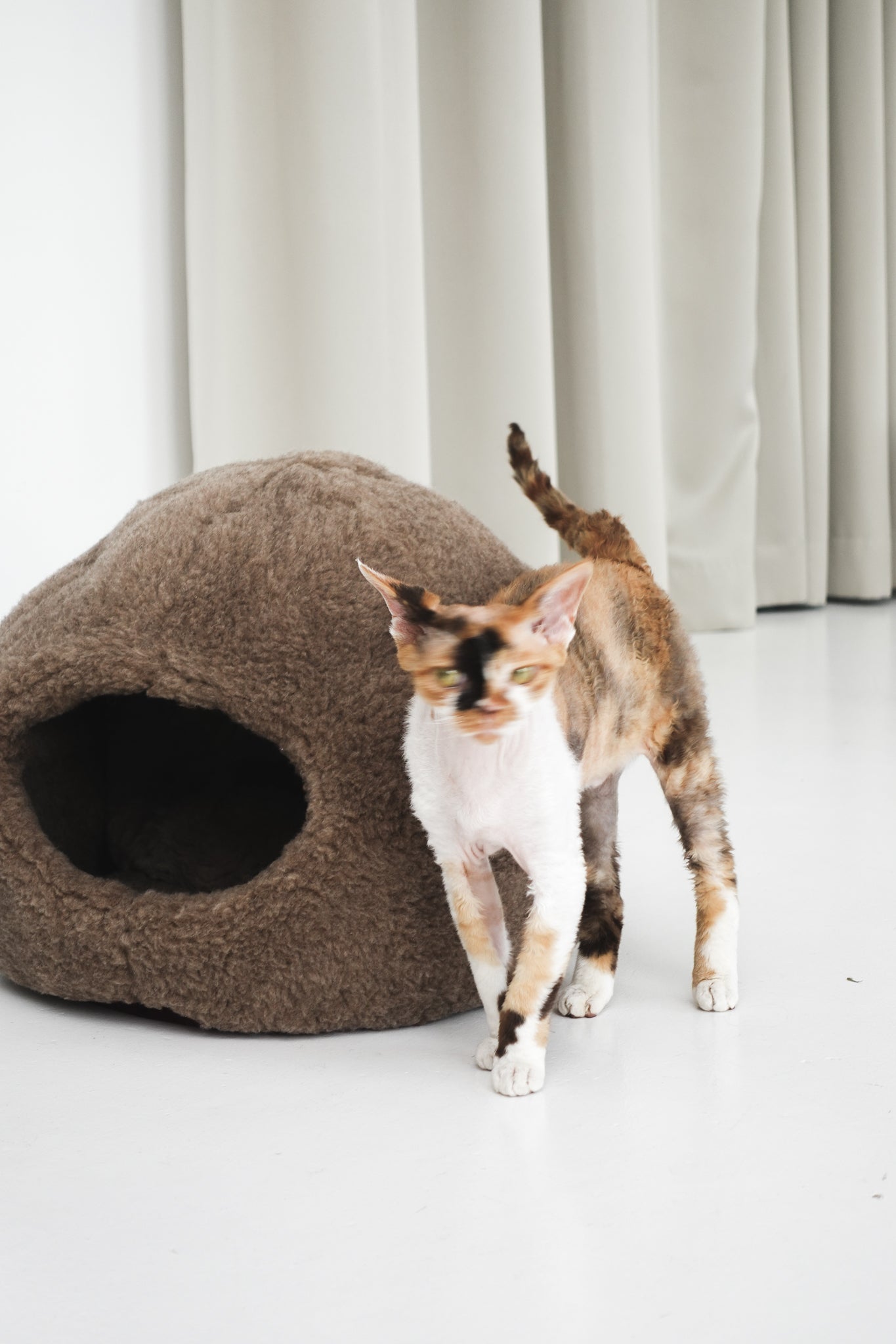 Nest Natural Sheepskin Pet Bed - Beige-0