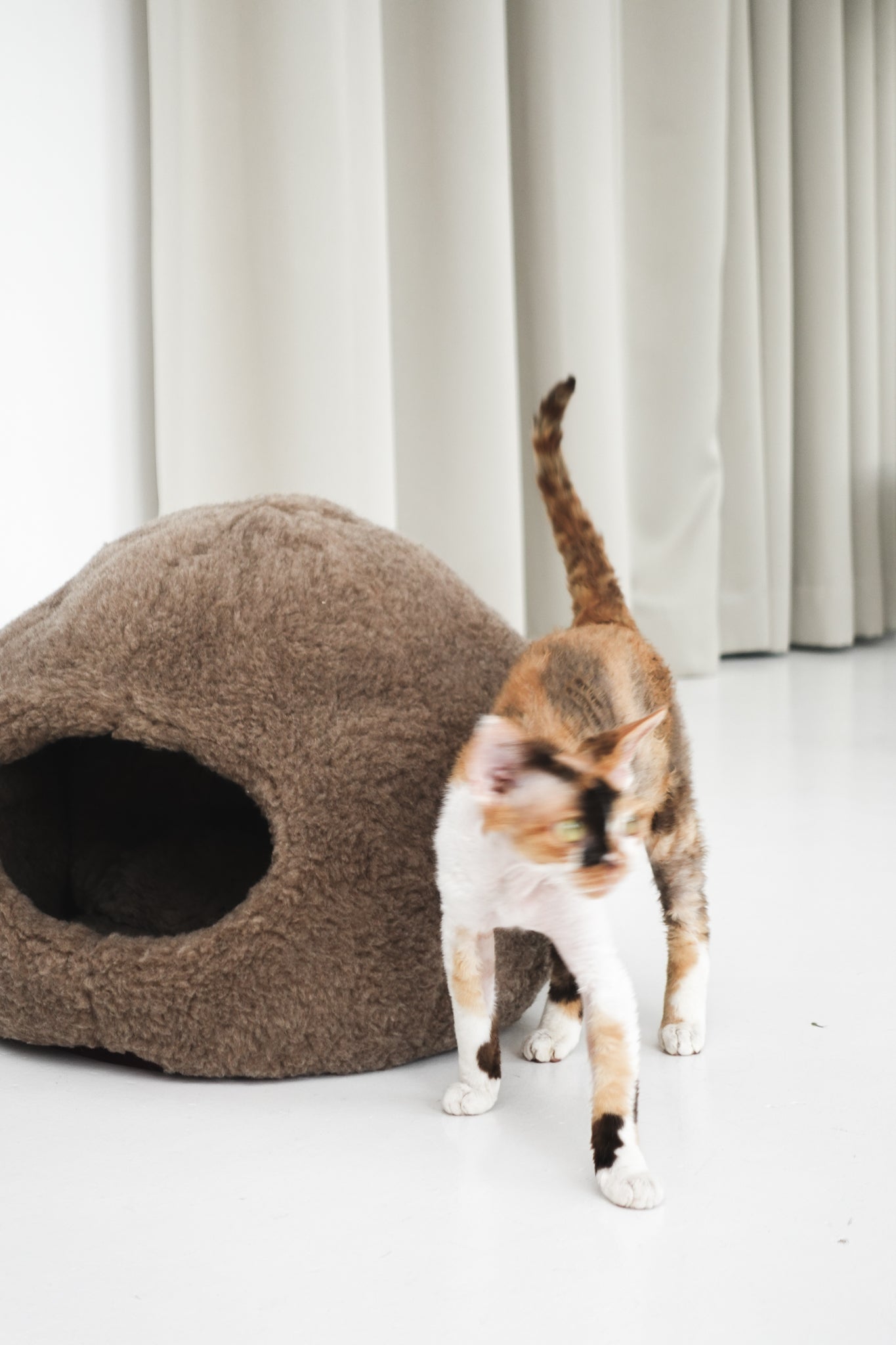 Nest Natural Sheepskin Pet Bed - Beige-4