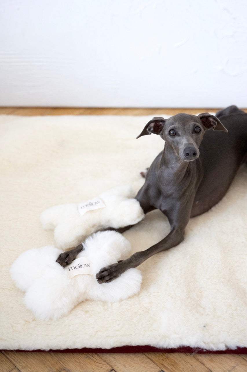 Natural Sheepskin Dog Toy - Bone - Beige-2