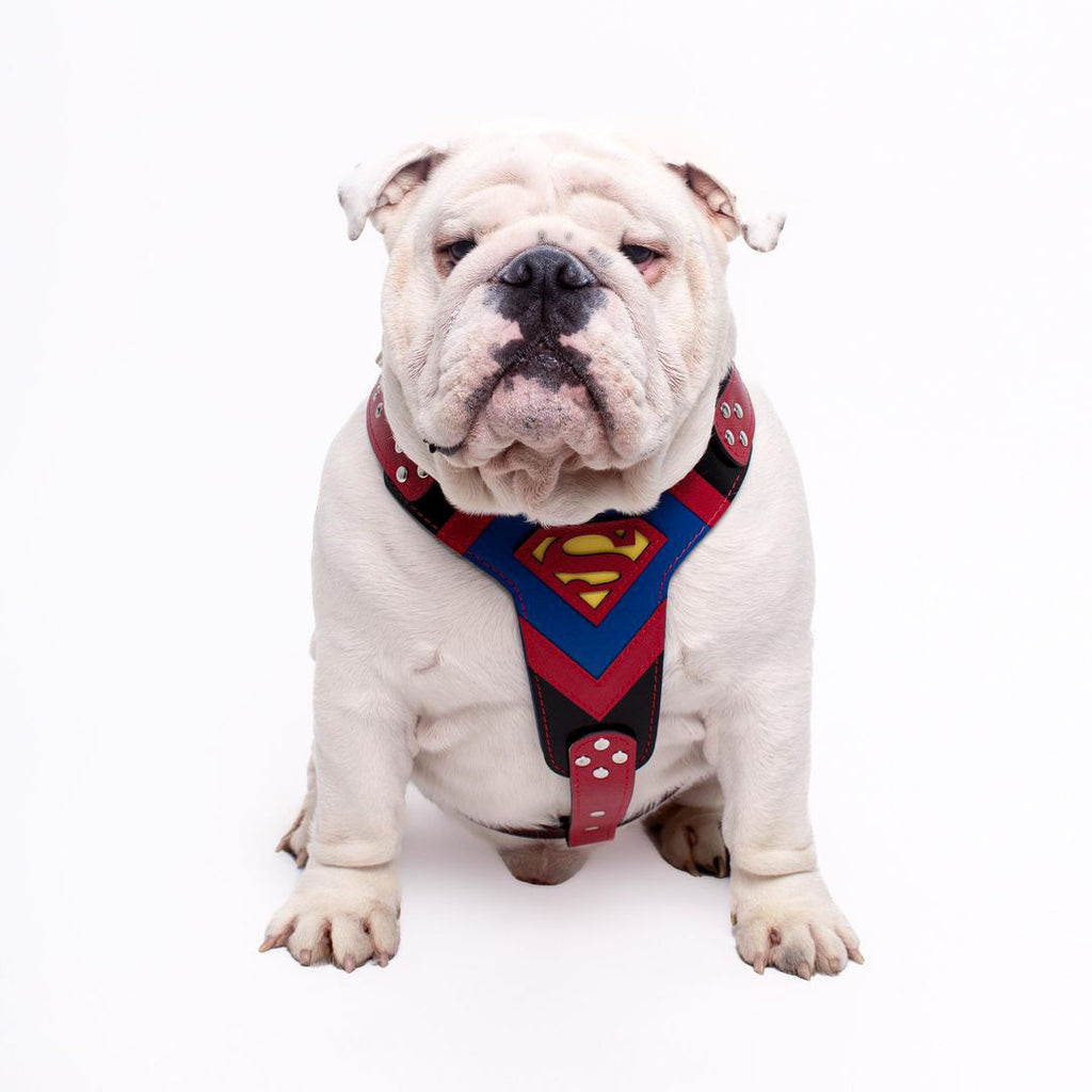 Superdog Harness Medium Size-2