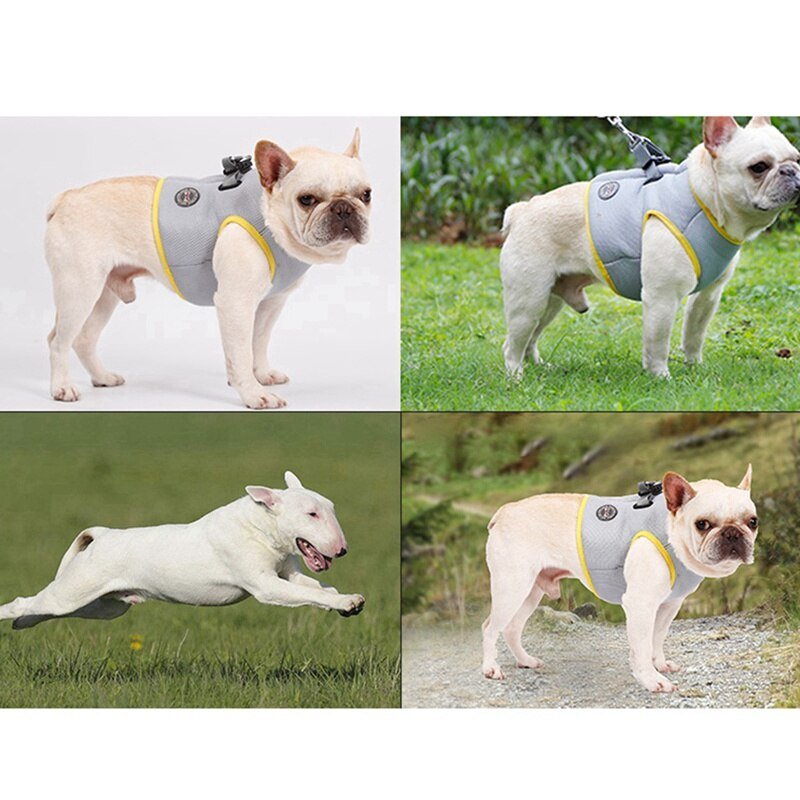 Dog Harness and Leash Set for Chihuahua Pug Small Medium Puppy Cat Harnesses Vest Cooling Walking Lead Harness-1