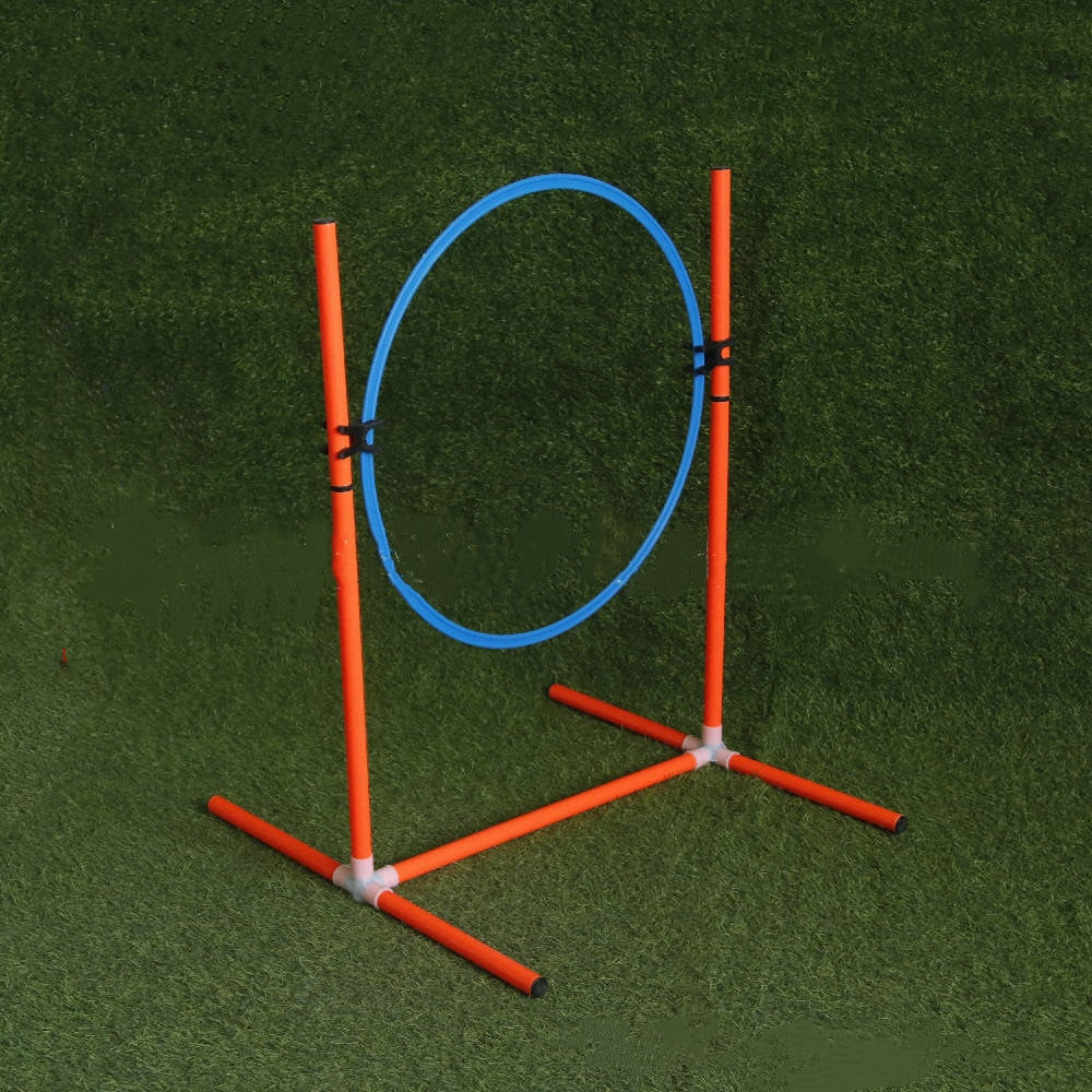 Dog Agility Training Equipment Sets-2