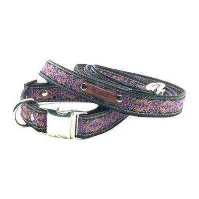 Finnigan's Fabulous Fido Fashion Lead-3